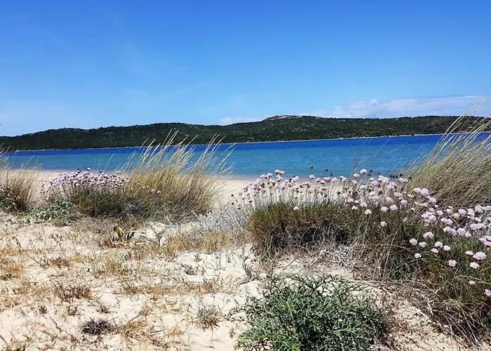 Сasa de vacaciones Lettu Di Ita - Spectacular Gallura Stazzu With Sea View And Pool *